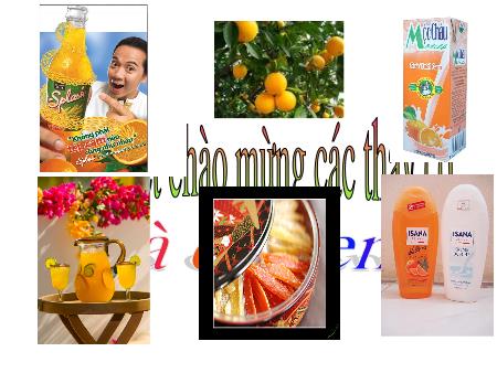 Bài giảng Công nghệ 10 - Bài 40: Mục đích, ý nghĩa của công tác bảo quản, chế biến nông, lâm, thủy sản