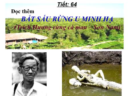 Bài giảng dạy thêm Ngữ văn 12 - Tiết 64: Bắt sấu rừng U Minh Hạ