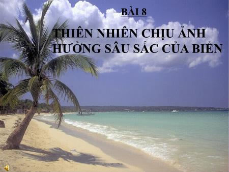 Bài giảng Địa lí 12 - Bài 8: Thiên nhiên chịu ảnh hưởng sâu sắc của biển
