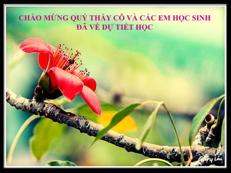 Bài giảng Giáo dục công dân 10 - Tiết 1, Bài 13: Công dân với cộng đồng