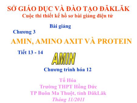 Bài giảng Hóa học 12 - Tiết 13+14, Bài: Amin - Trường THPT Hồng Đức