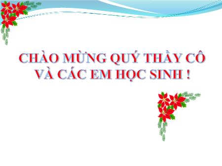 Bài giảng Ngữ văn 11 - Tiết 95: Đọc văn Người trong bao