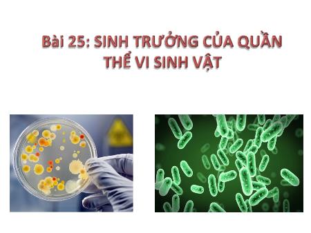 Bài giảng Sinh học 10 - Bài 25: Sinh trưởng của quần thể vi sinh vật