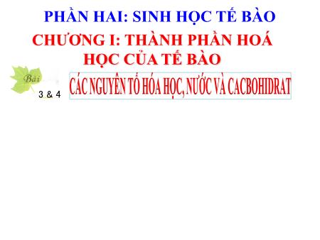 Bài giảng Sinh học 10 - Bài 3+4: Các nguyên tố hóa học, nước và cacbohidrat