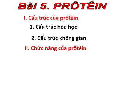 Bài giảng Sinh học 10 - Bài 5: Prôtêin