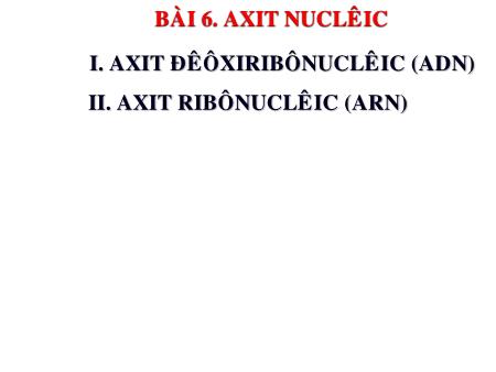 Bài giảng Sinh học 10 - Bài 6: Axit nucleâic