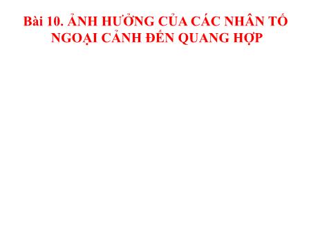 Bài giảng Sinh học 11 - Bài 10: Ảnh hưởng của các nhân tố ngoại cảnh đến quang hợp