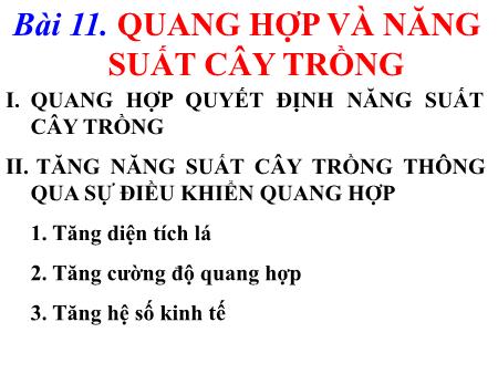 Bài giảng Sinh học 11 - Bài 11: Quang hợp và năng suất cây trồng