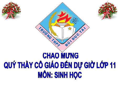 Bài giảng Sinh học 11 - Bài 30: Tập tính