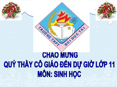Bài giảng Sinh học 11 - Bài 30: Truyền tin qua xináp