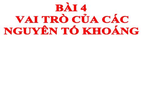 Bài giảng Sinh học 11 - Bài 4: Vai trò của các nguyên tố khoáng
