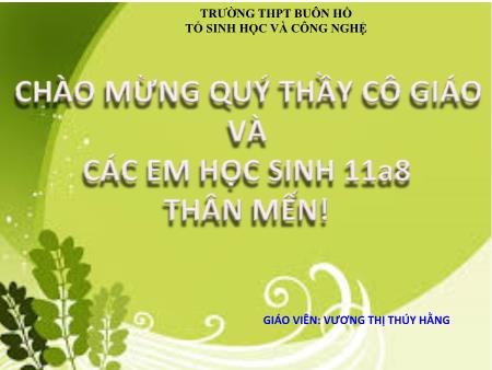 Bài giảng Sinh học 11 - Bài 44: Sinh sản vô tính ở động vật - Vương Thị Thúy Hằng