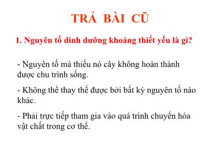 Bài giảng Sinh học 11 - Bài 5: Dinh dưỡng nitơ ở thực vật