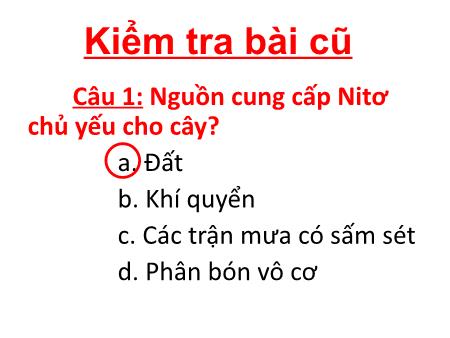 Bài giảng Sinh học 11 - Bài 8: Quang hợp ở thực vật