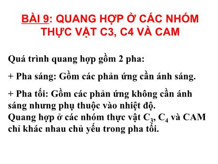 Bài giảng Sinh học 11 - Bài 9: Quang hợp ở các nhóm thực vật C3, C4 và CAM