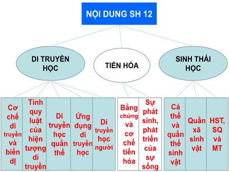 Bài giảng Sinh học 12 - Bài 1: Gen, mã di truyền và quá trình nhân đôi ADN