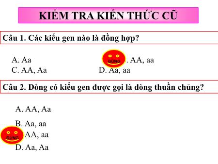 Bài giảng Sinh học 12 - Bài 8: Quy luật menđen Quy luật phân li
