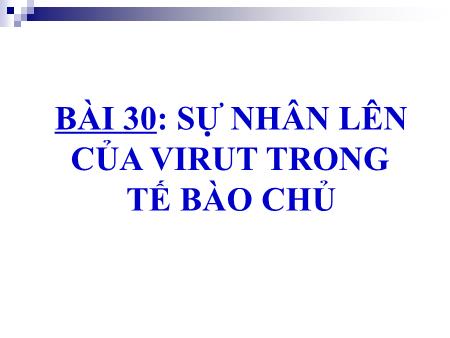 Bài giảng Sinh học Lớp 10 - Bài 30: Sự nhân lên của virut trong tế bào chủ