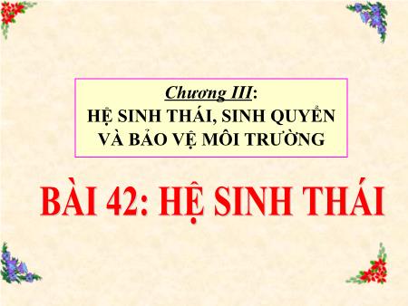 Bài giảng Sinh học Lớp 12 - Bài 42: Hệ sinh thái