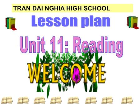 Bài giảng Tiếng Anh 12 - Unit 11: Books. Lesson: Reading - Trường THPT Trần Đại Nghĩa