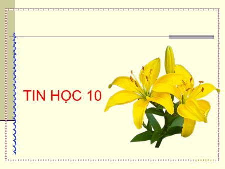 Bài giảng Tin học 10 - Tiết 1, Bài 4: Bài toán và thuật toán