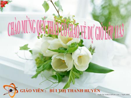 Bài giảng Toán 11 - Tiết 2, Bài: Đường thẳng vuông góc với mặt phẳng - Bùi Thị Thanh Huyền