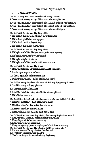 Câu hỏi ôn tập môn Tin học Lớp 11