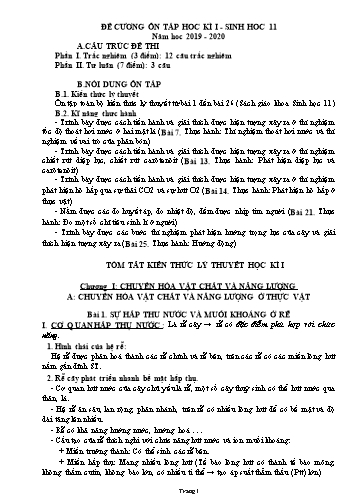 Đề cương ôn tập học kì I môn Sinh học 11 - Năm học 2019-2020
