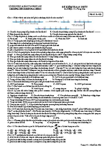 Đề kiểm tra 1 tiết môn Sinh học 12  (Nâng cao) - Mã đề 483 - Trường THPT Buôn Ma Thuột