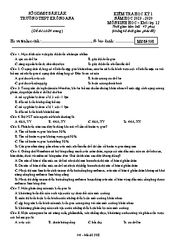 Đề kiểm tra học kỳ I môn Sinh học 12 - Mã đề 598 - Năm học 2019-2020 - Trường THPT Krông Ana (Kèm đáp án)