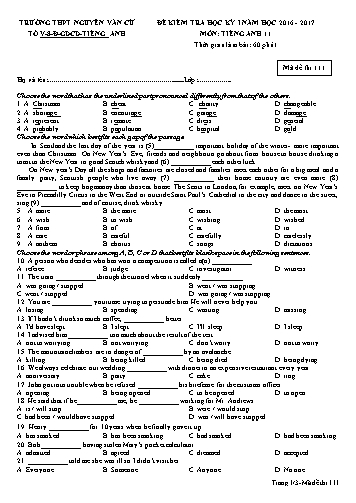 Đề kiểm tra học kỳ I môn Tiếng Anh 11 - Mã đề 111 - Năm học 2016-2017 - Trường THPT Nguyễn Văn Cừ (Kèm đáp án)