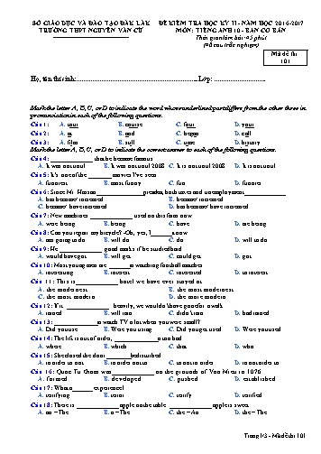 Đề kiểm tra học kỳ II môn Tiếng Anh 10 (Ban cơ bản) - Mã đề 101 - Năm học 2016-2017 - Trường THPT Nguyễn Văn Cừ (Kèm đáp án)