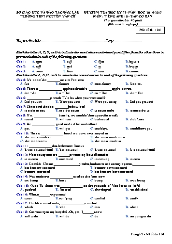 Đề kiểm tra học kỳ II môn Tiếng Anh 10 (Ban cơ bản) - Mã đề 104 - Năm học 2016-2017 - Trường THPT Nguyễn Văn Cừ (Kèm đáp án)