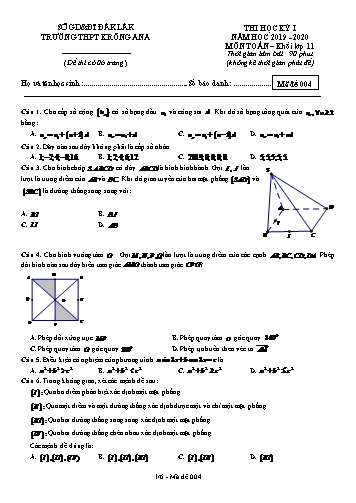 Đề thi học kỳ I môn Toán 11 - Mã đề 004 - Năm học 2019-2020  - Trường THPT Krông Ana (Kèm đáp án)