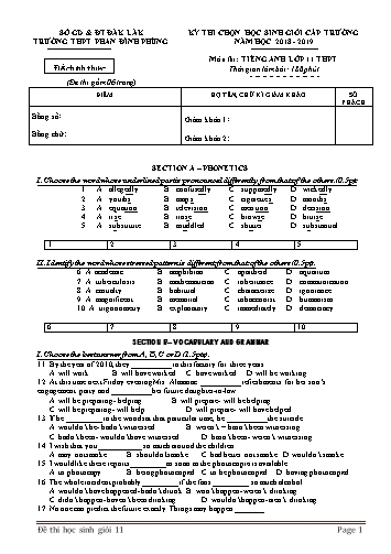 Đề thi học sinh giỏi cấp trường môn Tiếng Anh 11 - Năm học 2018-2019 - Trường THPT Phan Đình Phùng (Có đáp án)