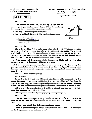 Đề thi học sinh giỏi cấp trường môn Vật lí 12 - Năm học 2018-2019 - Trường THPT Phan Đình Phùng (Có đáp án)
