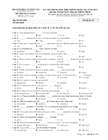 Đề thi THPT quốc gia năm 2019 môn Tiếng Pháp - Mã đề 001
