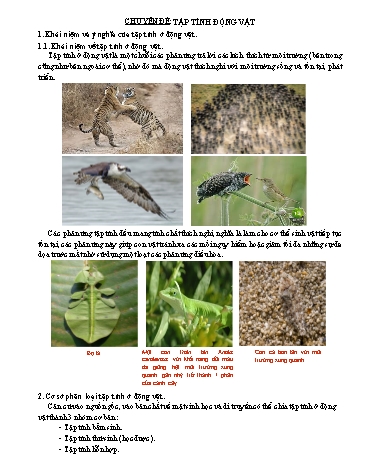 Giáo án dạy thêm Sinh học 12 - Chuyên đề: Tập tính động vật