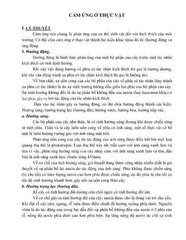 Kế hoạch bài dạy Sinh học 11 - Bài: Cảm ứng ở thực vật