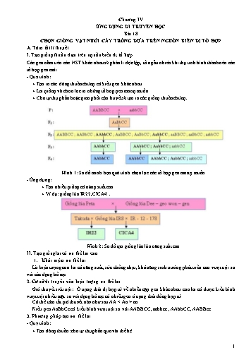 Ôn tập kiến thức Sinh học Lớp 12 - Chương IV: Ứng dụng di truyền học